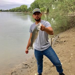 Meet your Posher, Andres